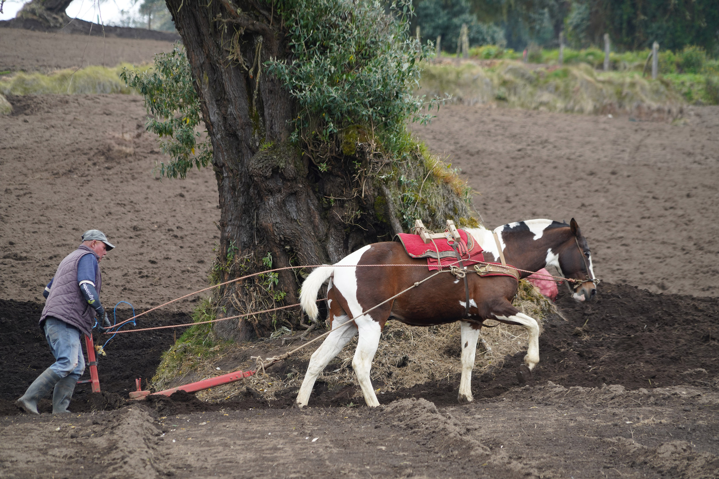 Costa Rica - Février 2025
